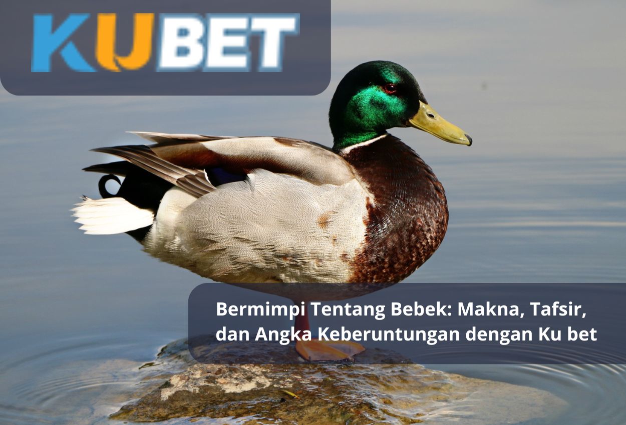 Bermimpi Tentang Bebek: Makna, Tafsir, dan Angka Keberuntungan dengan Ku bet